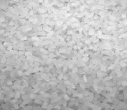White Broken Rice Manufacturer Supplier Wholesale Exporter Importer Buyer Trader Retailer in Nagpur Maharashtra India